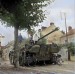 Panther in France
